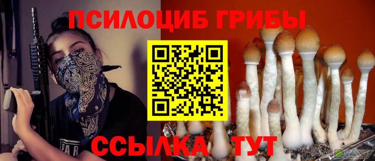Карабулак  Галлюциногенные грибы мицелий  Вход с VPN  Псилоцибиновые грибы ЛСД 